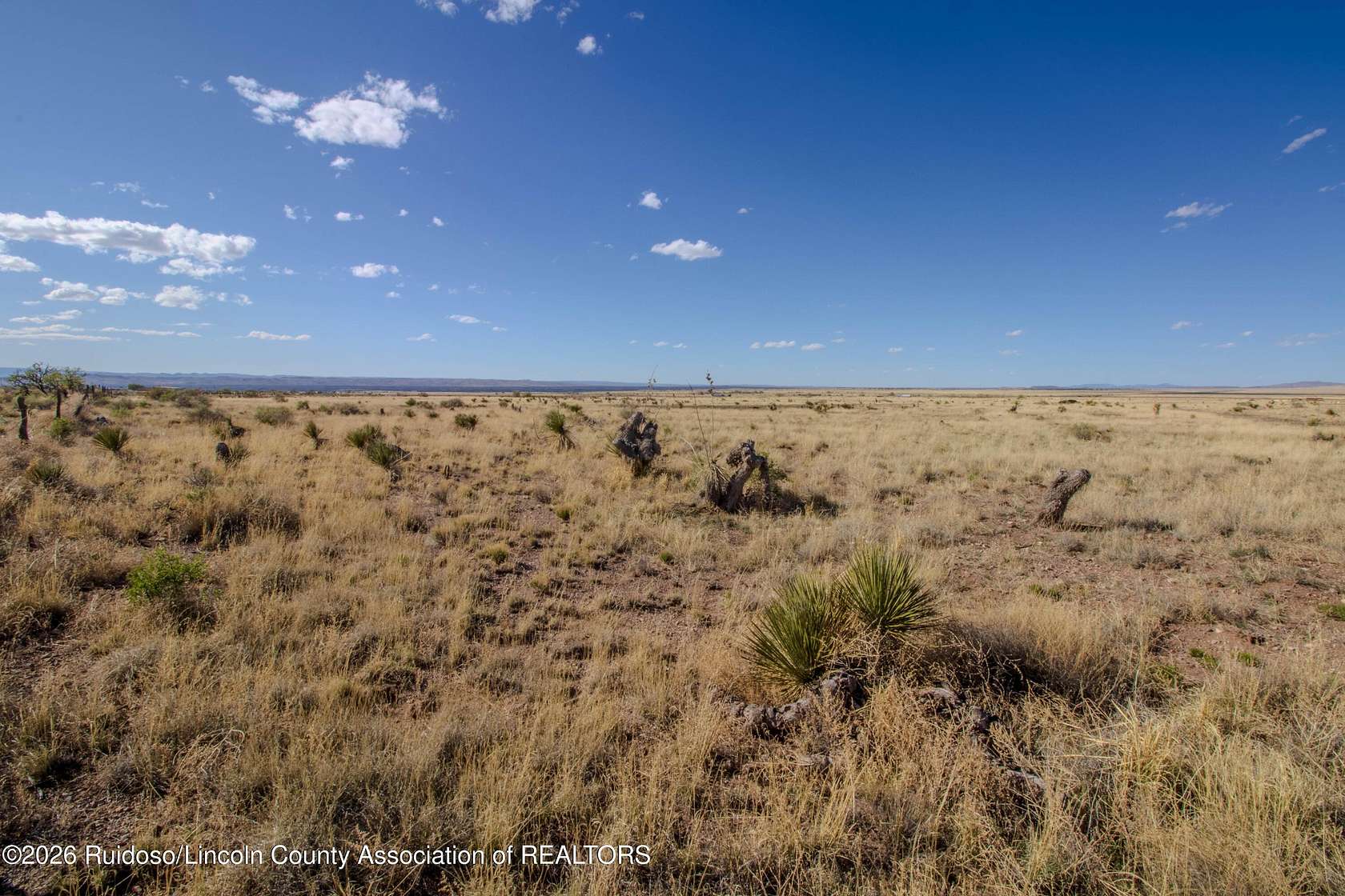 10.8 Acres of Land for Sale in Carrizozo, New Mexico