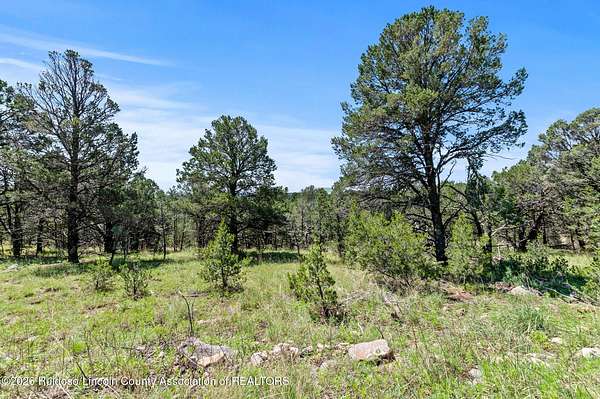 6.5 Acres of Land for Sale in Alto, New Mexico