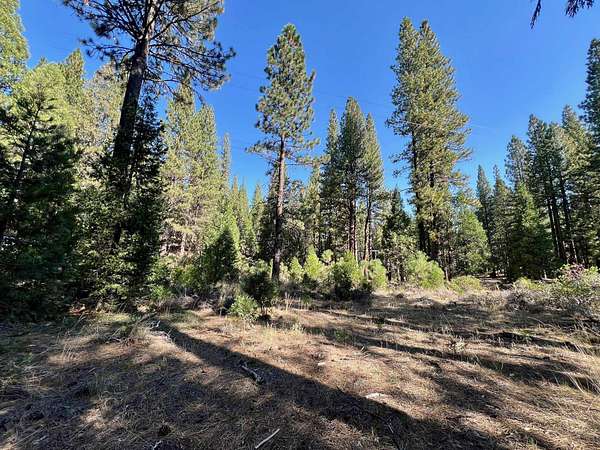 2.1 Acres of Residential Land for Sale in Clio, California