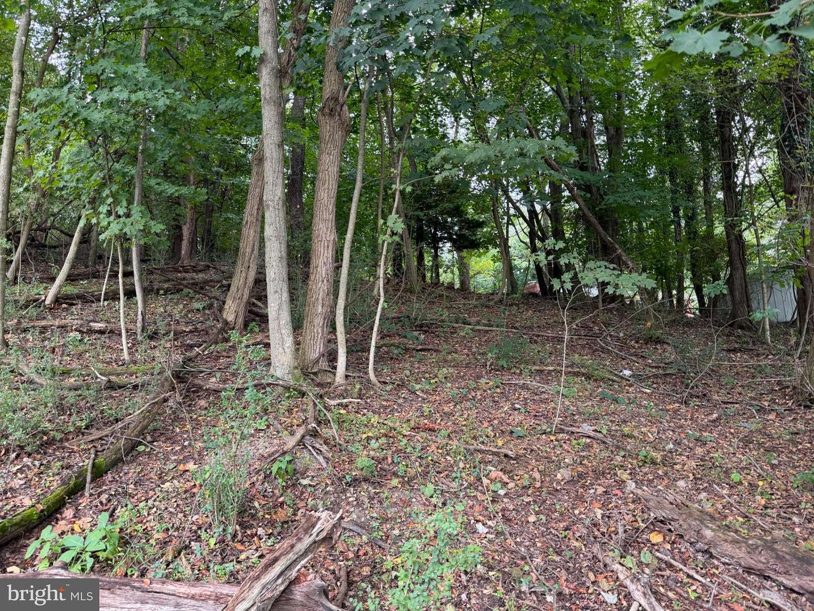 22.5 Acres of Recreational Land for Sale in Ridgeley, West Virginia