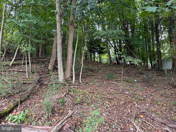 22.5 Acres of Recreational Land for Sale in Ridgeley, West Virginia