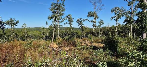 25 Acres of Recreational Land for Sale in Graysville, Tennessee