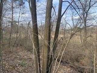1.67 Acres of Residential Land for Sale in Remus, Michigan