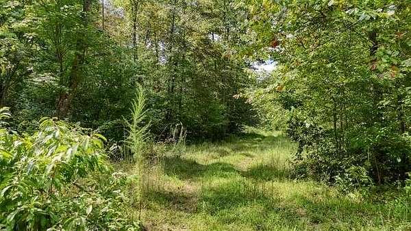 31.5 Acres of Recreational Land for Sale in Hayesville, North Carolina
