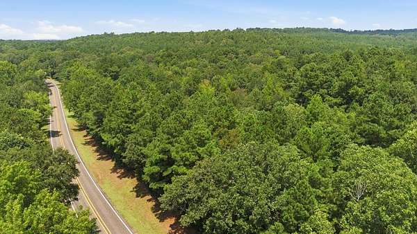 15 Acres of Recreational & Residential Land for Sale in San Augustine, Texas
