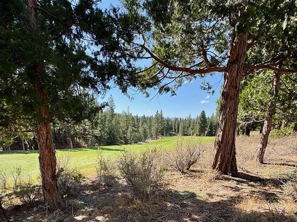 1.6 Acres of Residential Land for Sale in Portola, California