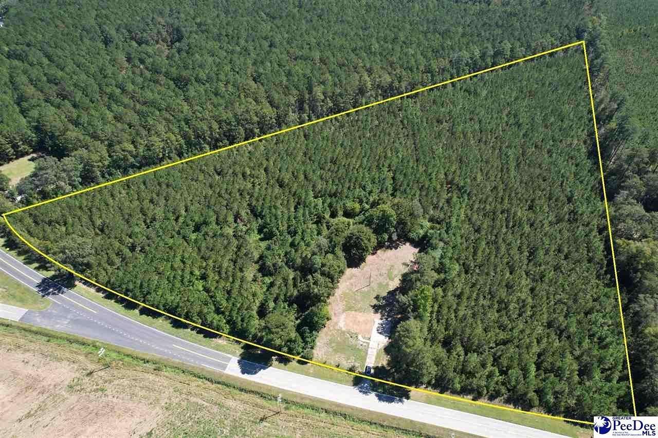 18.7 Acres of Land for Sale in Latta, South Carolina