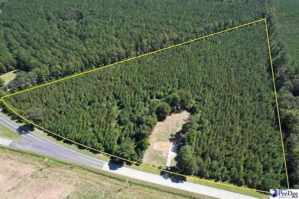 18.7 Acres of Land for Sale in Latta, South Carolina