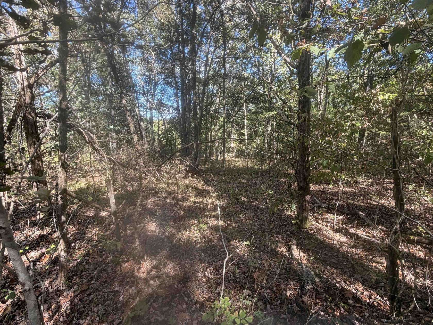3 Acres of Land for Sale in Clifton, Tennessee