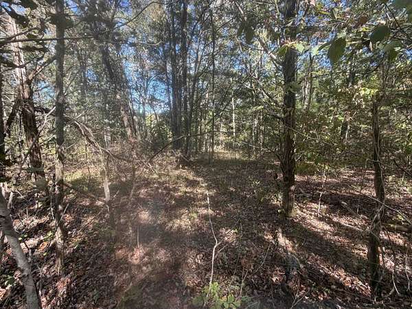 3 Acres of Land for Sale in Clifton, Tennessee