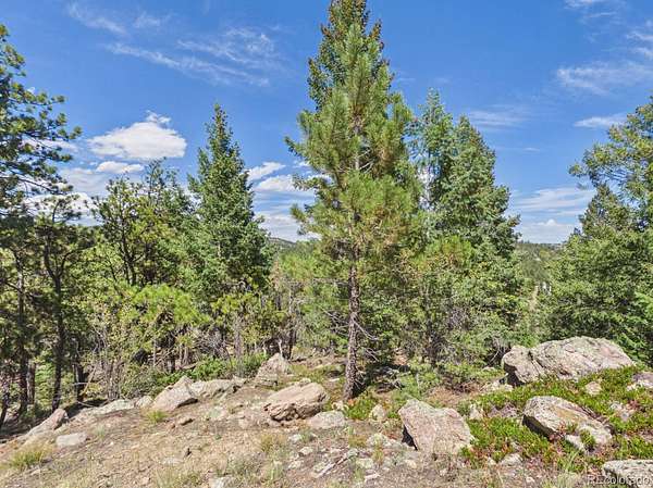 27.2 Acres of Recreational & Residential Land for Sale in Morrison, Colorado