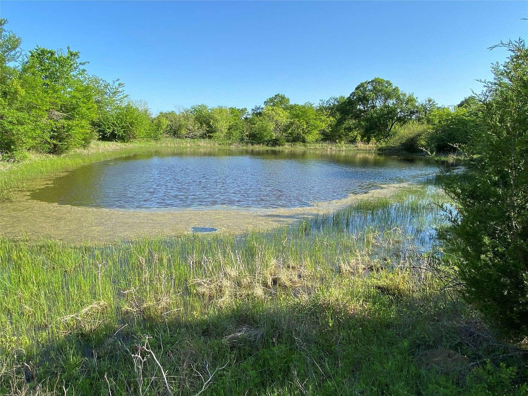 23.5 Acres of Land for Sale in Barry, Texas