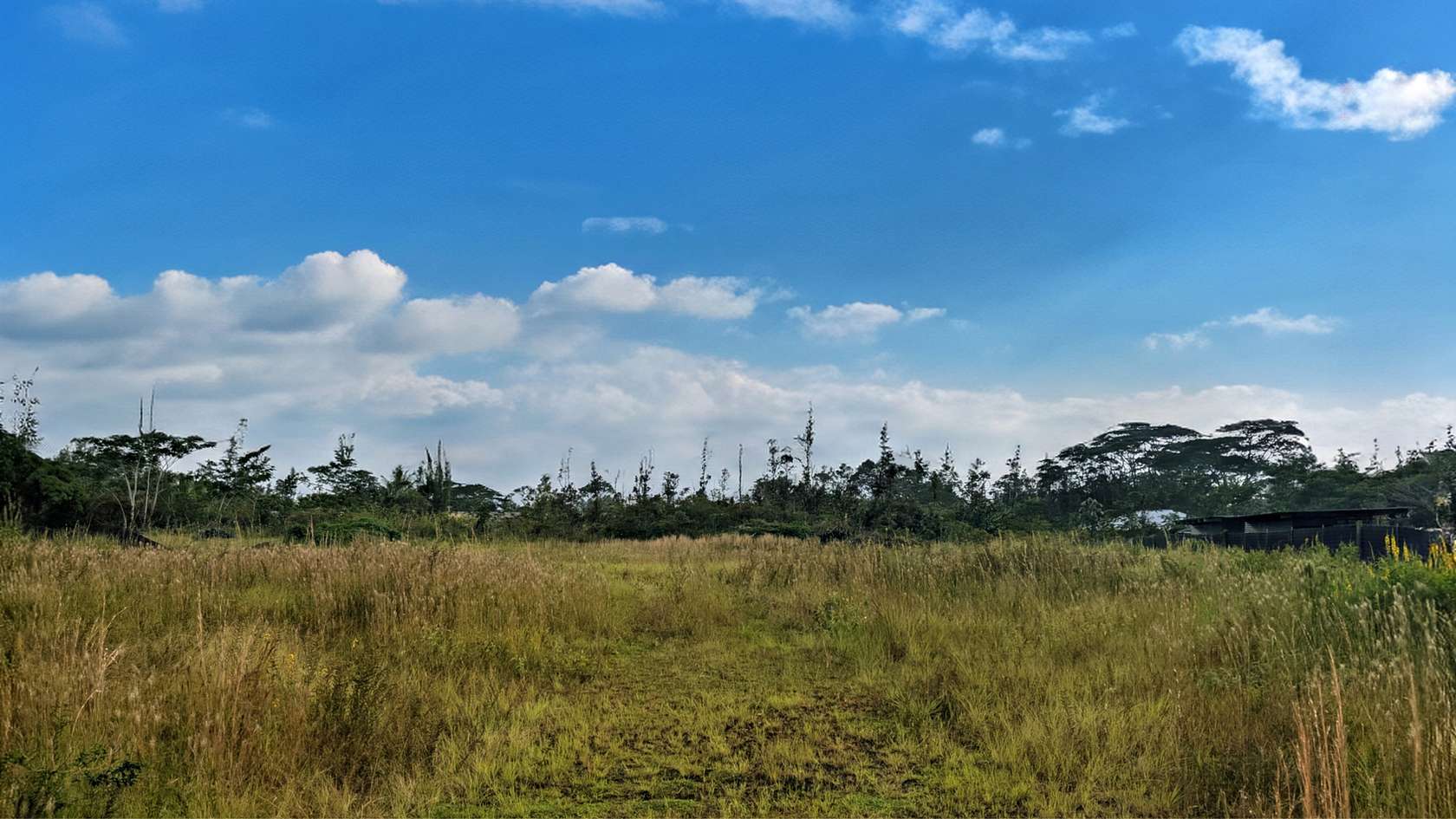 1 Acre of Residential Land for Sale in Keaau, Hawaii