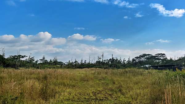 1 Acre of Residential Land for Sale in Keaau, Hawaii