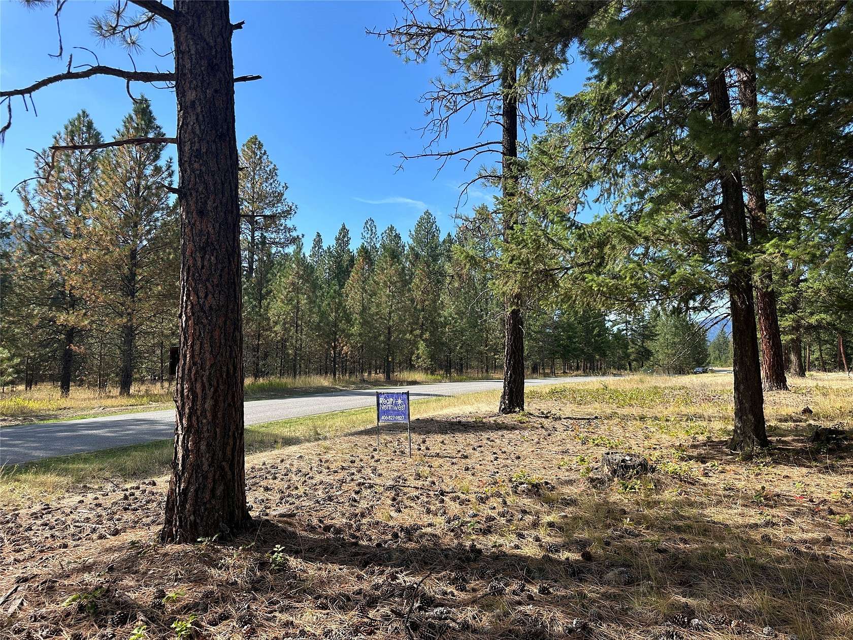 2.89 Acres of Land for Sale in Thompson Falls, Montana