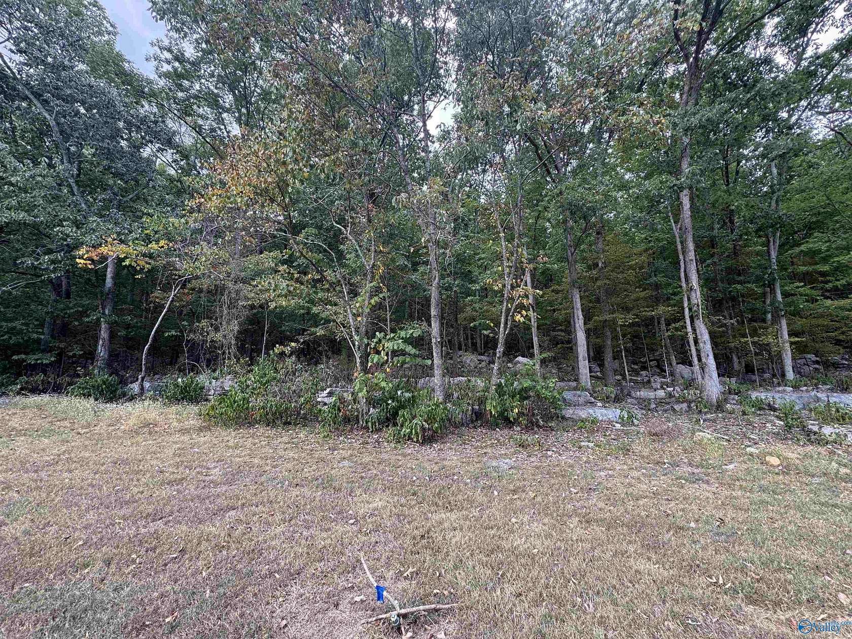 3.46 Acres of Residential Land for Sale in Owens Cross Roads, Alabama