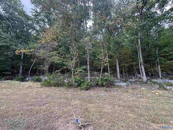 3.46 Acres of Residential Land for Sale in Owens Cross Roads, Alabama