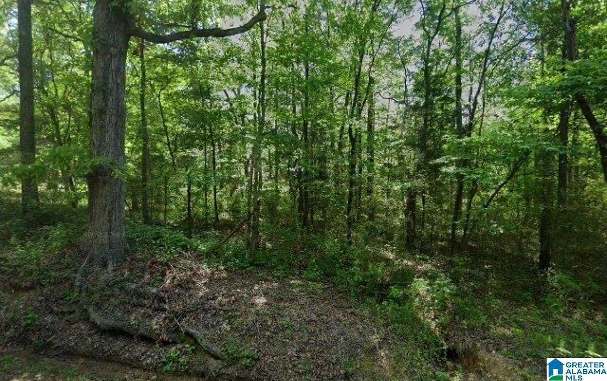 6 Acres of Residential Land for Sale in Bessemer, Alabama