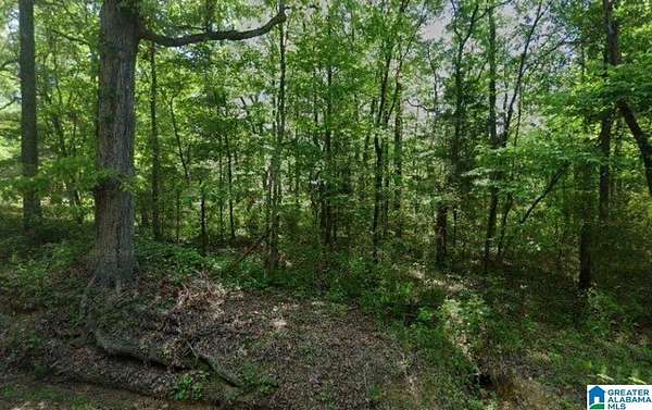 6 Acres of Residential Land for Sale in Bessemer, Alabama