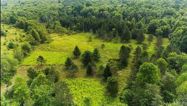 74.4 Acres of Recreational & Residential Land for Sale in Whitney Point, New York