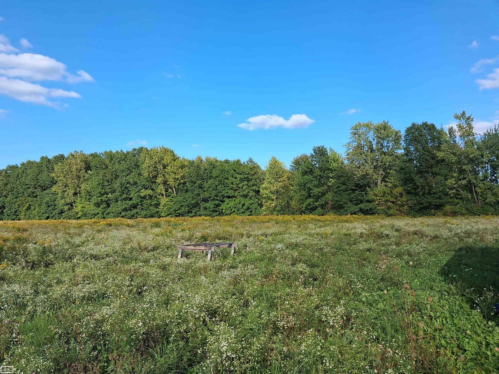 10 Acres of Residential Land for Sale in Marine City, Michigan
