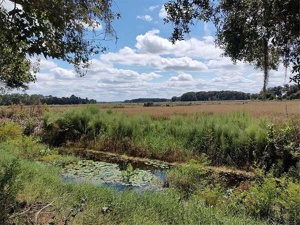 0.31 Acres of Land for Sale in Hernando, Florida
