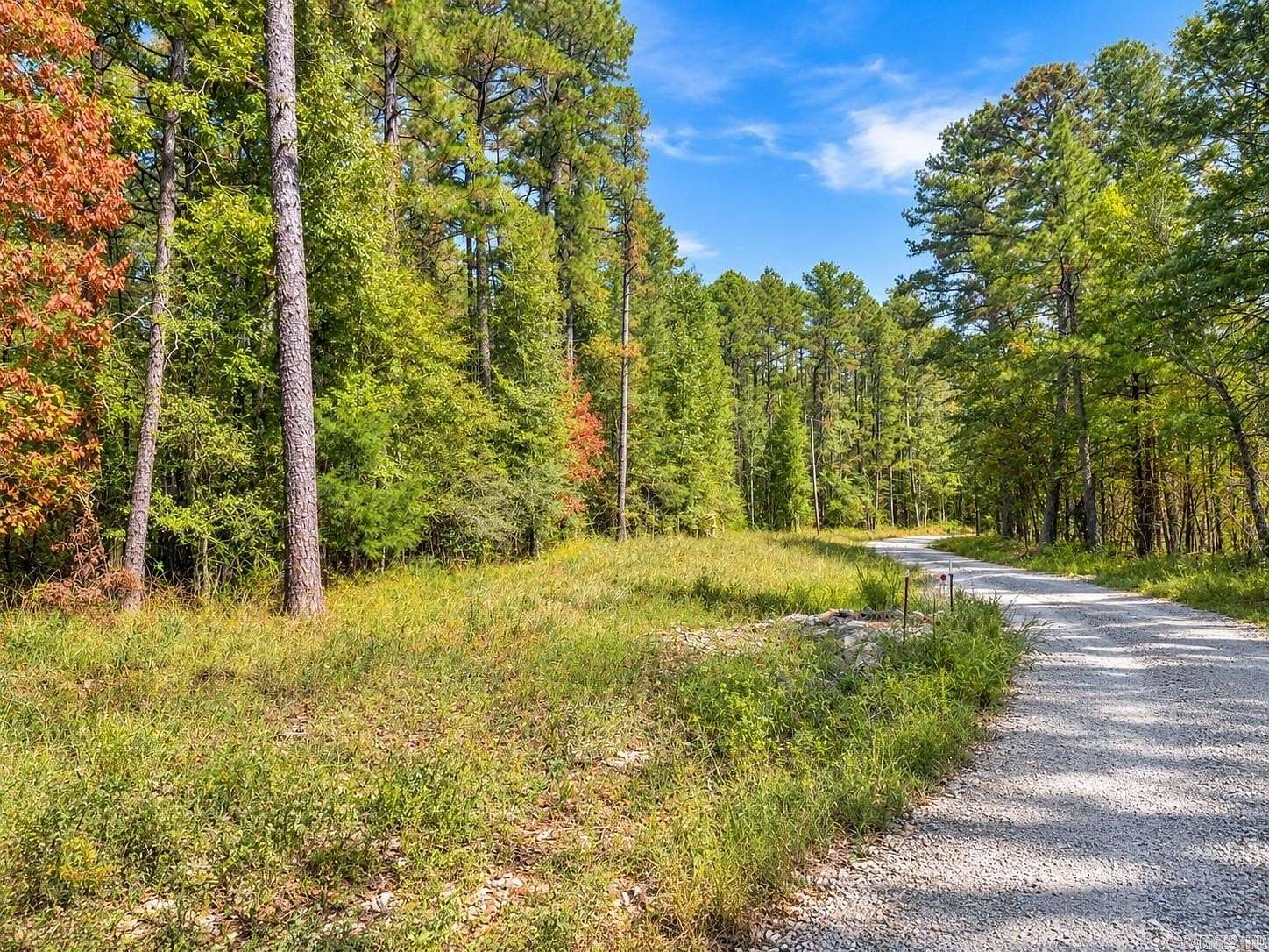 100 Acres of Recreational Land for Sale in Norman, Arkansas