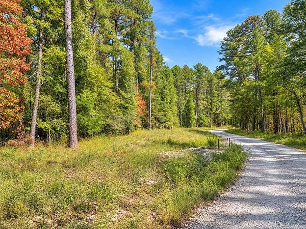 100 Acres of Recreational Land for Sale in Norman, Arkansas