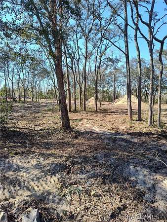 0.6 Acres of Residential Land for Sale in Lecanto, Florida