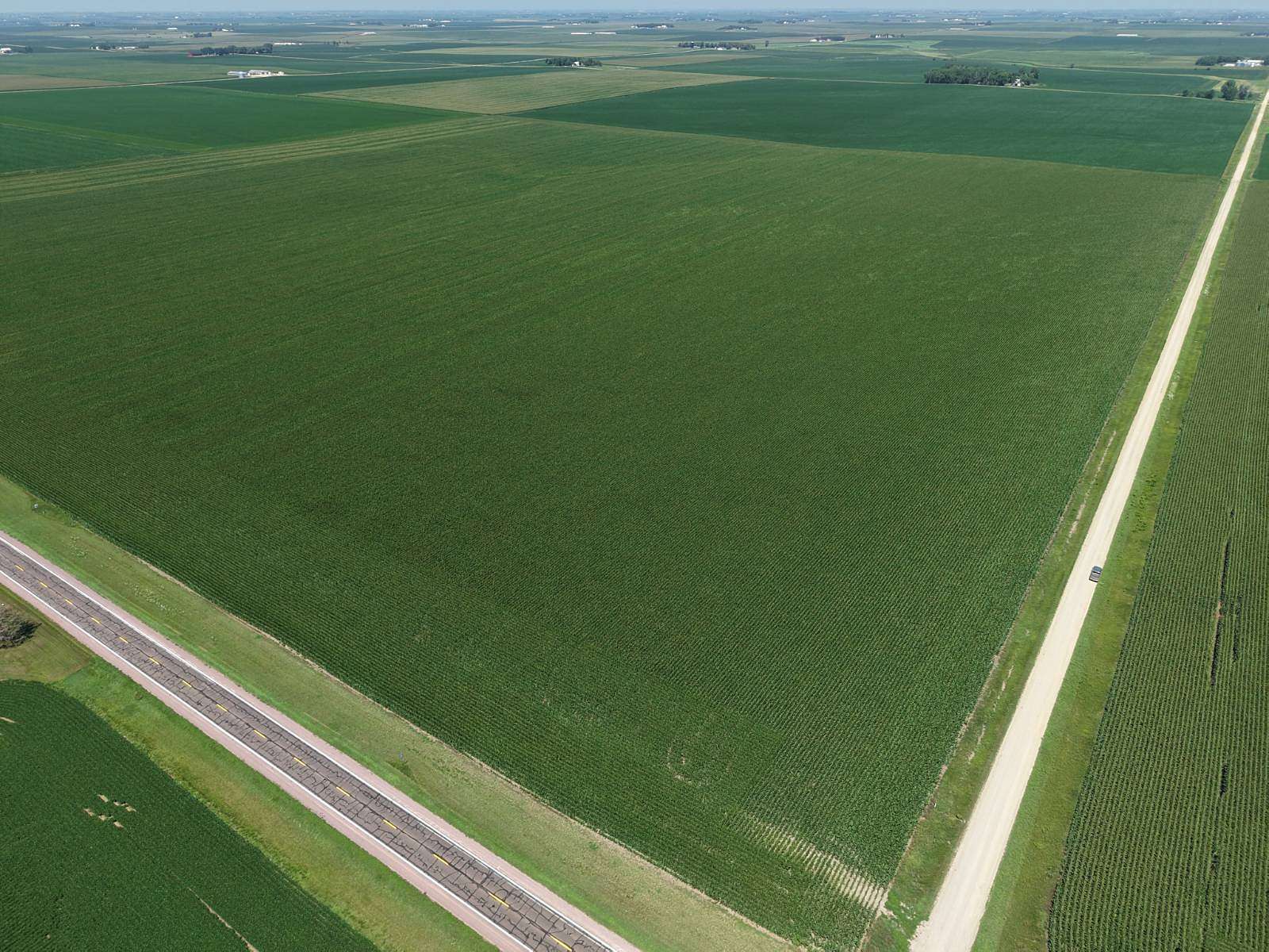 225 Acres of Land for Auction in Rock Rapids, Iowa