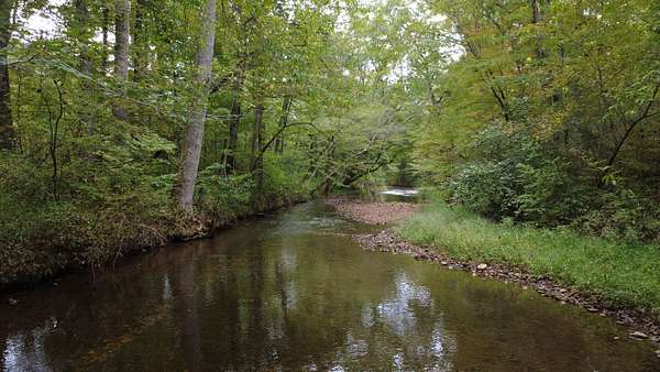 24.5 Acres of Land for Sale in Hohenwald, Tennessee