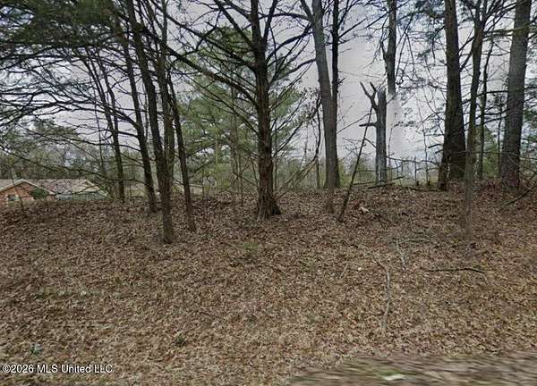 67 Acres of Recreational & Residential Land for Sale in Canton, Mississippi