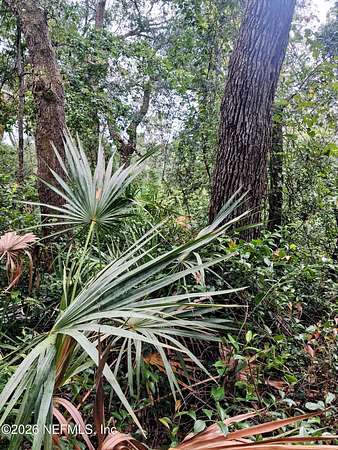 0.85 Acres of Residential Land for Sale in Keystone Heights, Florida