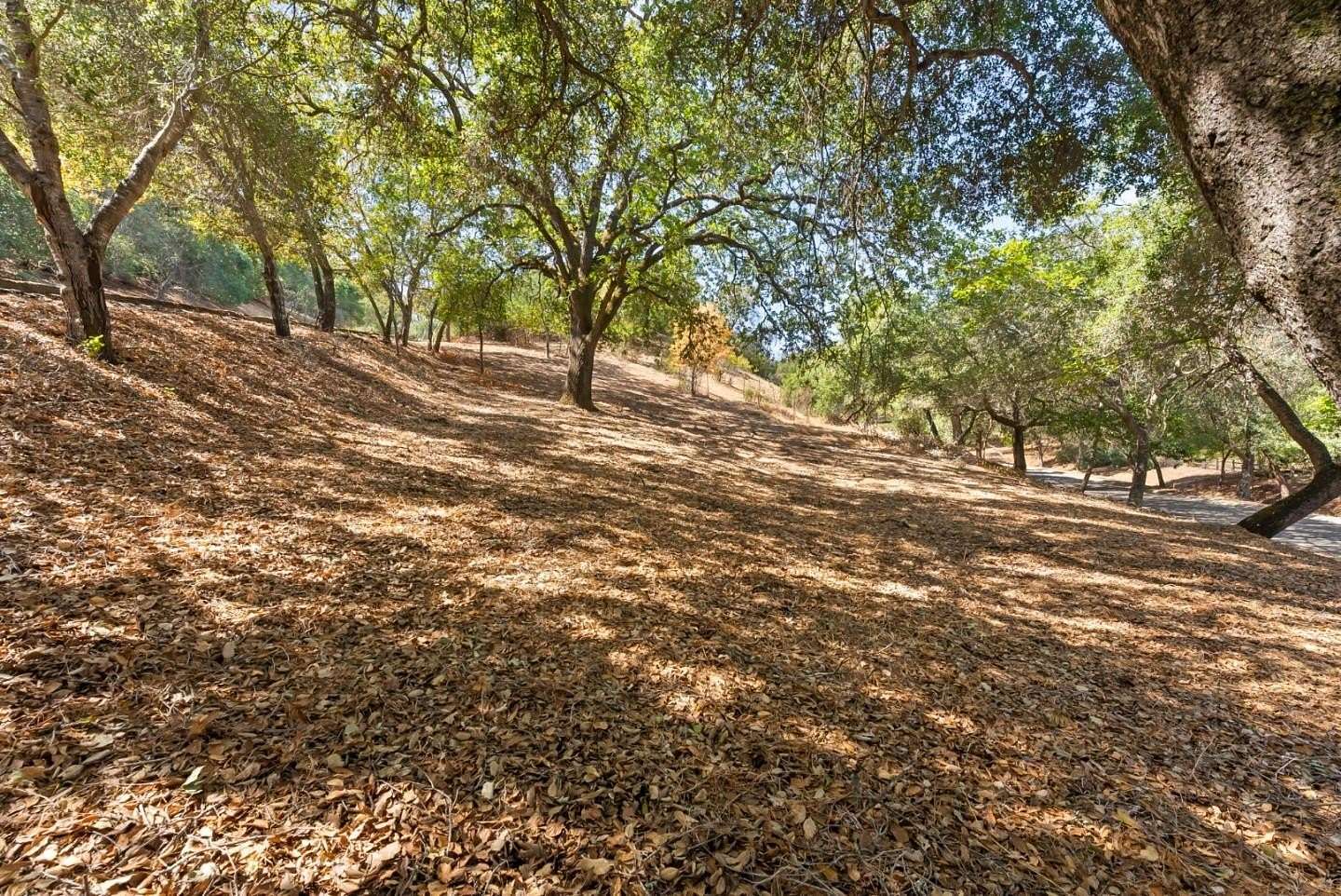 0.58 Acres of Residential Land for Sale in Monte Sereno, California