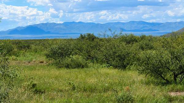 4.7 Acres of Residential Land for Sale in Douglas, Arizona
