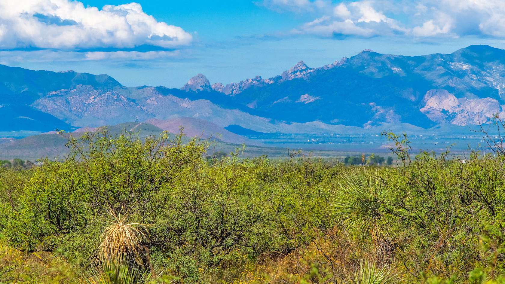 5 Acres of Land for Sale in Willcox, Arizona
