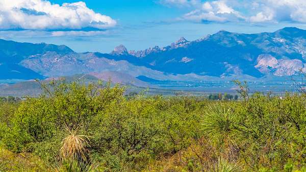 5 Acres of Land for Sale in Willcox, Arizona