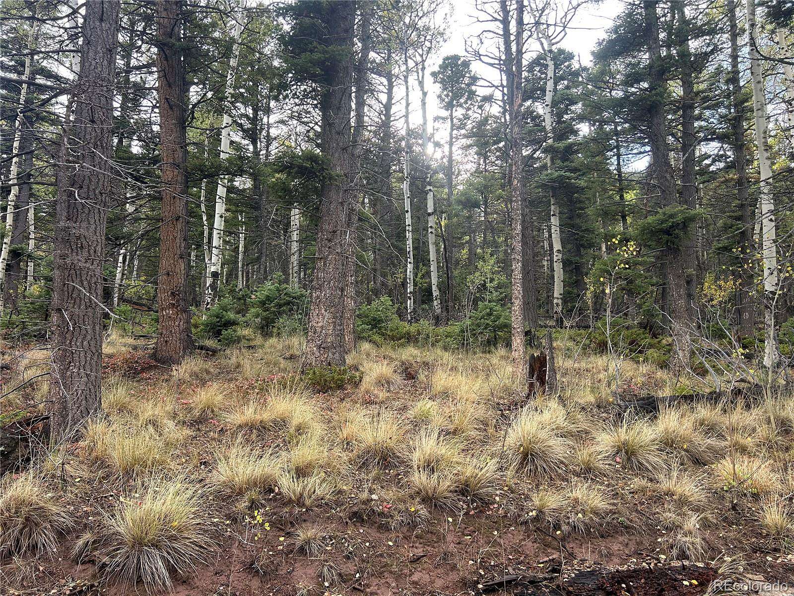3.44 Acres of Residential Land for Sale in Fort Garland, Colorado