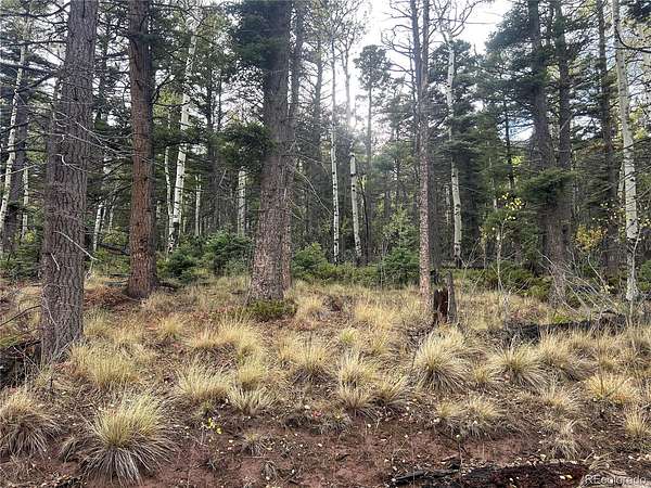3.44 Acres of Residential Land for Sale in Fort Garland, Colorado