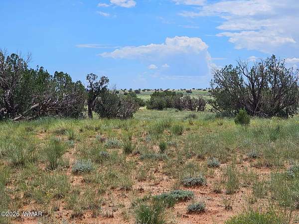 37 Acres of Recreational & Residential Land for Sale in Heber, Arizona