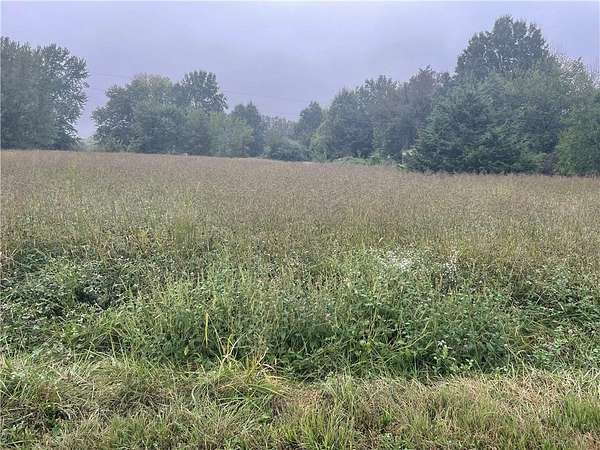 0.18 Acres of Land for Sale in Odessa, Missouri