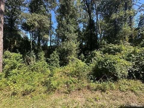 0.22 Acres of Residential Land for Sale in Inverness, Florida