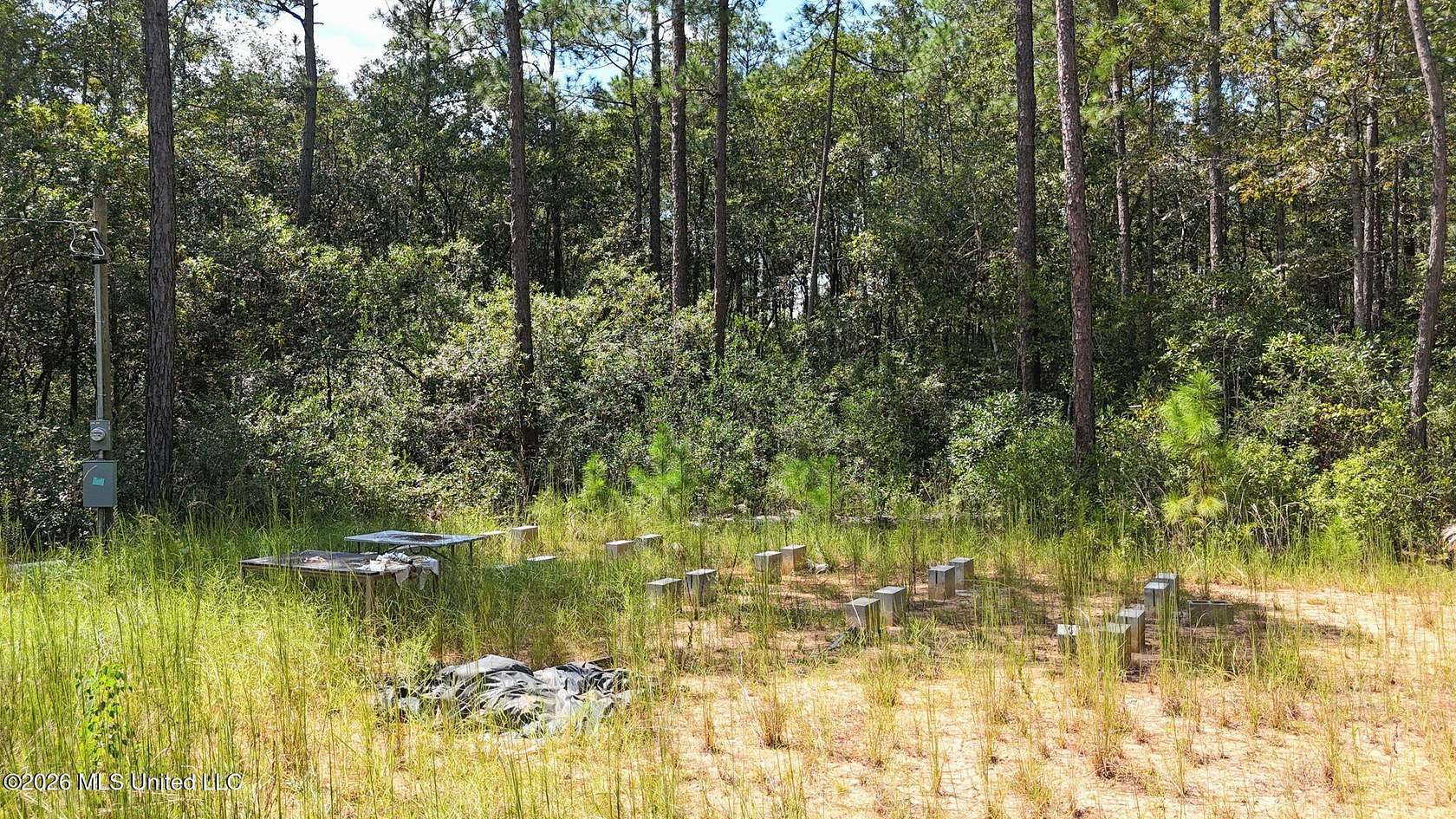10.9 Acres of Recreational & Residential Land for Sale in Carriere, Mississippi