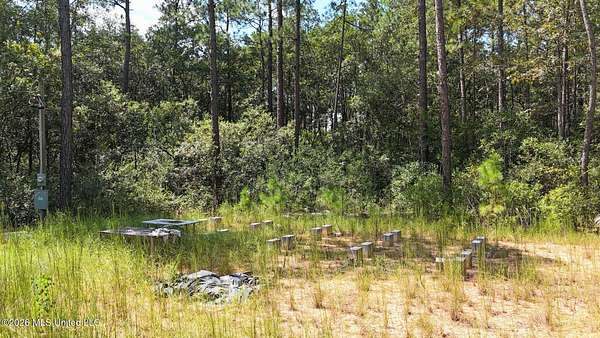 10.9 Acres of Recreational & Residential Land for Sale in Carriere, Mississippi