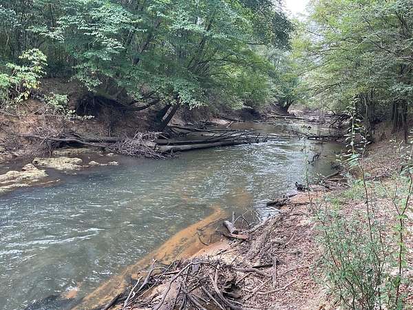 100 Acres of Recreational Land with Home for Sale in Luverne, Alabama
