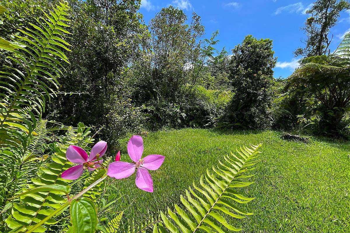 1 Acre of Residential Land for Sale in Pahoa, Hawaii