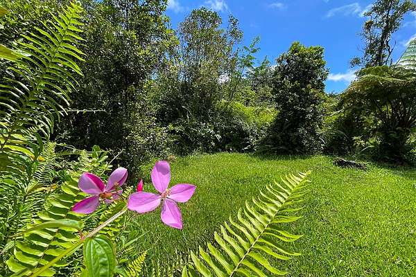 1 Acre of Residential Land for Sale in Pahoa, Hawaii
