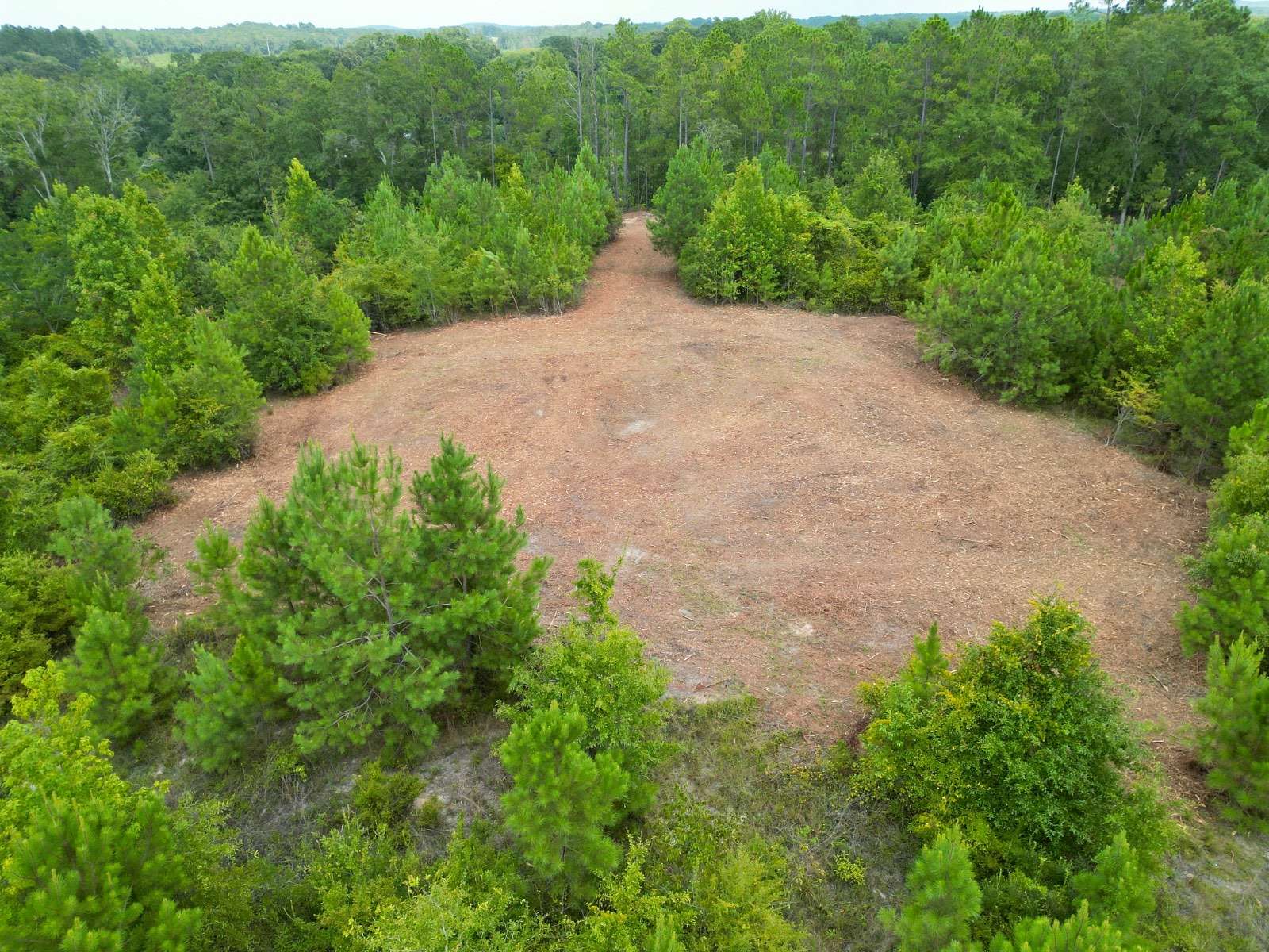 3 Acres of Residential Land for Sale in Goshen, Alabama