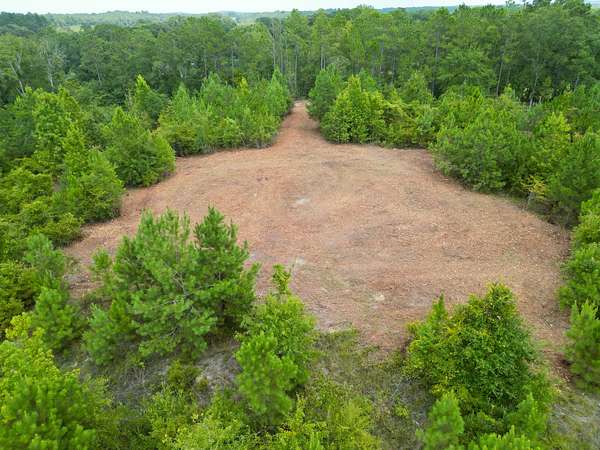 3 Acres of Residential Land for Sale in Goshen, Alabama