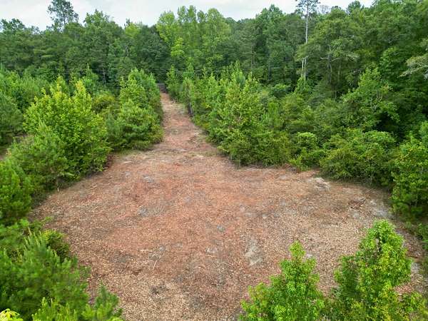 3 Acres of Residential Land for Sale in Goshen, Alabama